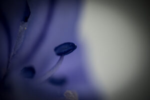 Feeling blue
