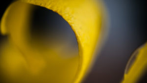 Comme un citron