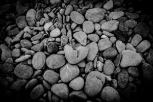 Amour de Corse